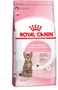 Ração Royal Canin Kitten Sterilised para Gatos Filhotes 1,5Kg