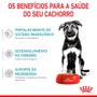 Ração Royal Canin Maxi para Cães Filhotes 15Kg