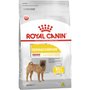 Ração Royal Canin Medium Dermacomfort para Cães Adultos 10,1Kg