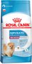 Ração Royal Canin Mini Indoor para Cães Filhotes 2,5Kg