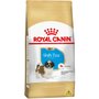 Ração Royal Canin Shih Tzu para Cães Filhotes 1Kg