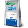 Ração Vet Life Natural Gastrointestinal para Cães Adultos com Distúrbios Intestinais 10,1Kg