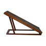 RAMPA PET PARA CAMA E SOFA BEETHOVEN