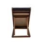 RAMPA PET PARA CAMA E SOFA BEETHOVEN