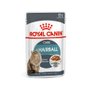 Sachê Royal Canin Hairball Care Wet 85g