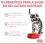 Sachê Royal Canin Sterilised para Gatos Filhotes Castrados 85g