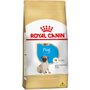 Ração Royal Canin Pug para Cães Filhotes 1Kg