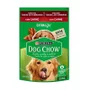 Sachê Dog Chow para Cães Adultos Sabor Carne e Arroz 100g