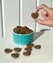 SNACK CHOCOLATE PET 50G NINOS PET