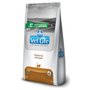 VET LIFE FELINE DIABETIC 2KG